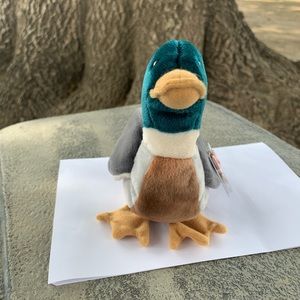 Ty Beanie Baby Jake the Mallard Drake Duck